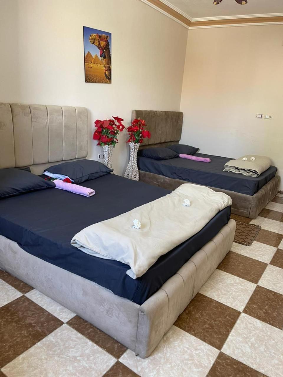 Pyramid Stars Inn Nazlet el-Sisi Экстерьер фото